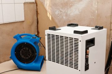 Dry Out Services in Brandon by Family First Mold & Water LLC