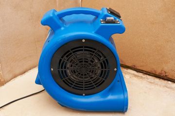 Dry Out Services by Family First Mold & Water LLC