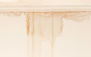 Water Damage Restoration by Family First Mold & Water LLC