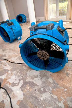 Family First Mold & Water LLC's emergency water removal service